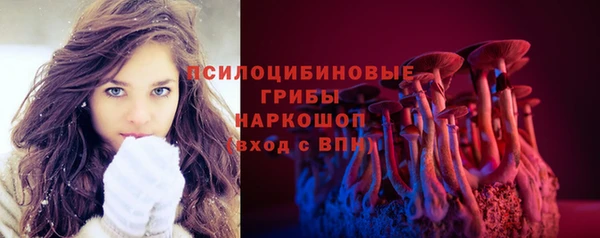 ГАЛЛЮЦИНОГЕННЫЕ ГРИБЫ Алзамай