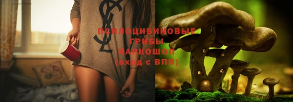 ГАЛЛЮЦИНОГЕННЫЕ ГРИБЫ Алзамай