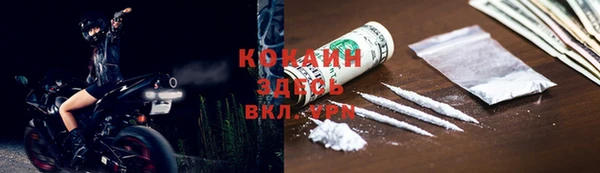 ГАЛЛЮЦИНОГЕННЫЕ ГРИБЫ Алзамай