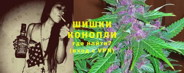 ГАЛЛЮЦИНОГЕННЫЕ ГРИБЫ Алзамай