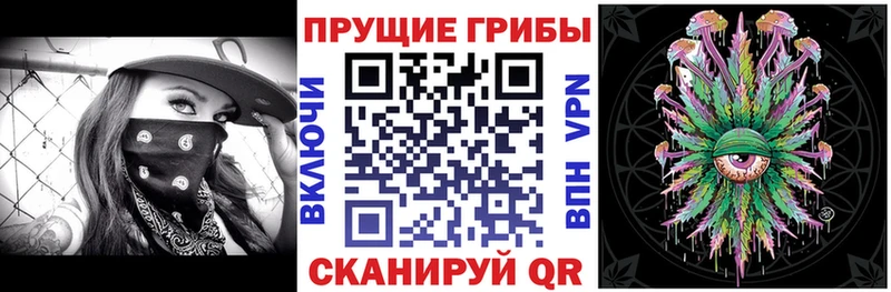 KRAKEN ссылки Амурск Галлюциногенные грибы мицелий
